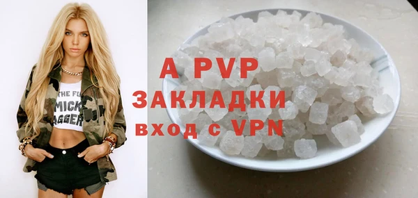 гашик Козловка