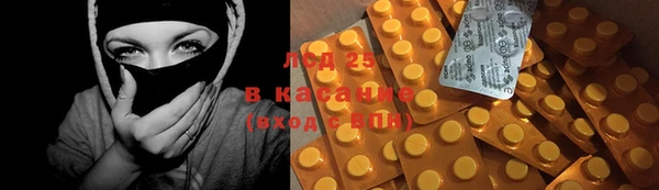 гашик Козловка