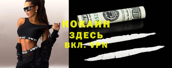 гашик Козловка