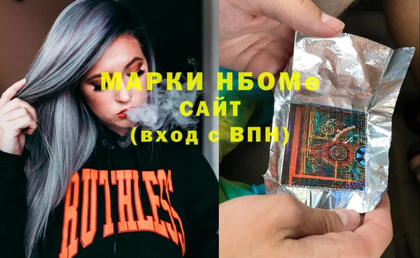 гашик Козловка