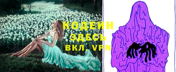 гашик Козловка