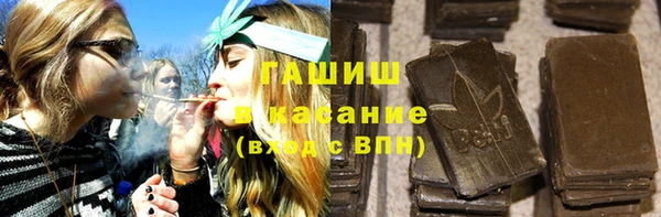 гашик Козловка