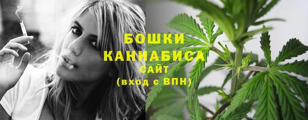 гашик Козловка